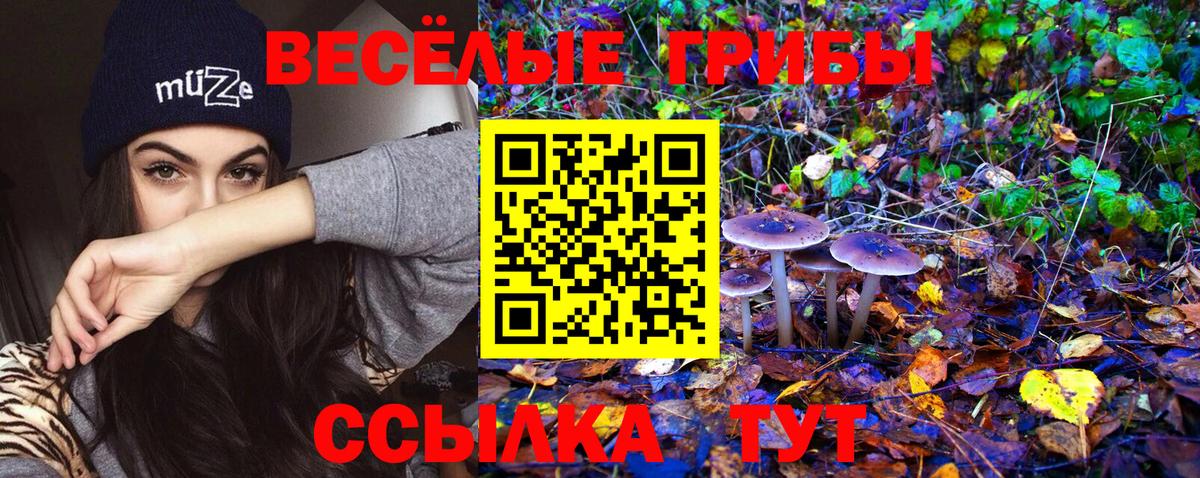 Среднеуральск  Галлюциногенные грибы GOLDEN TEACHER  Вход с VPN 