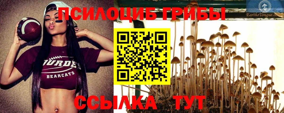 Псилоцибиновые грибы Cubensis Среднеуральск